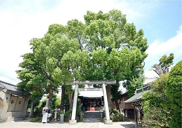 小村井香取神社 徒歩4分（約260m）